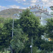 фото из отзыва ID 2242243