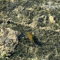 фото из отзыва ID 2242294