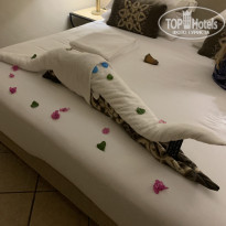 фото из отзыва ID 2242294