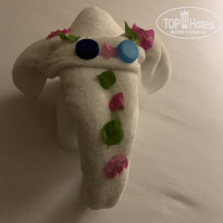 фото из отзыва ID 2242294