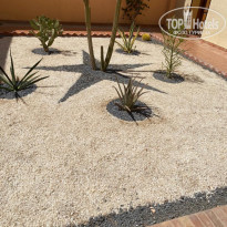 фото из отзыва ID 2242294