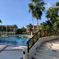 фото из отзыва ID 2242353