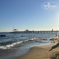 фото из отзыва ID 2242419