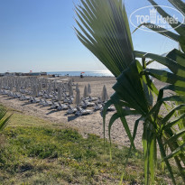 фото из отзыва ID 2242420