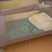 фото из отзыва ID 2242527