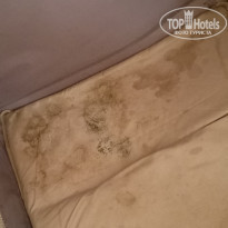 фото из отзыва ID 2242527