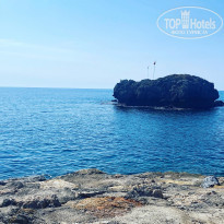 фото из отзыва ID 2242568