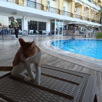 фото из отзыва ID 2242542