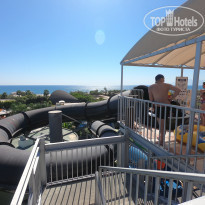 фото из отзыва ID 2242415