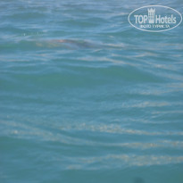 фото из отзыва ID 2242702