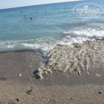 фото из отзыва ID 2242702