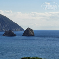 фото из отзыва ID 2242748