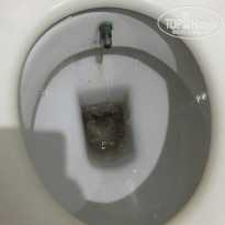 фото из отзыва ID 2242870