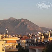 фото из отзыва ID 2242811