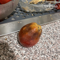 фото из отзыва ID 2242963