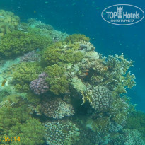 фото из отзыва ID 2243255