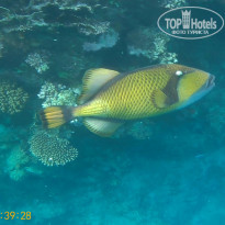 фото из отзыва ID 2243255