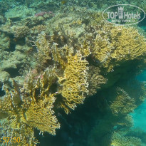 фото из отзыва ID 2243255