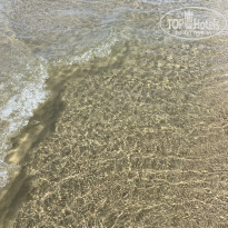 фото из отзыва ID 2243483