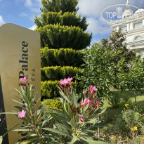 фото из отзыва ID 2243483