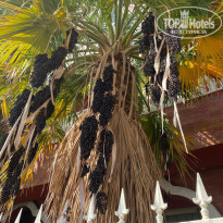 фото из отзыва ID 2243483