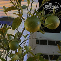 фото из отзыва ID 2243483