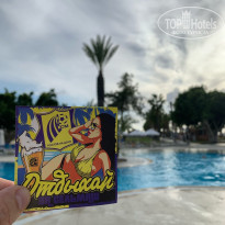 фото из отзыва ID 2243556