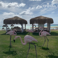 фото из отзыва ID 2243556