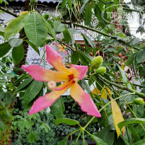 фото из отзыва ID 2243567