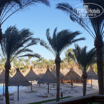 фото из отзыва ID 2243569