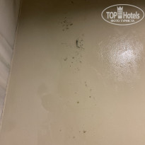 фото из отзыва ID 2243680