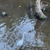 фото из отзыва ID 2243680