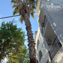 фото из отзыва ID 2243639