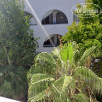 фото из отзыва ID 2243639