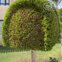 фото из отзыва ID 2243645