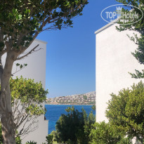 фото из отзыва ID 2243705