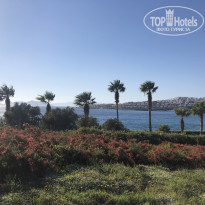 фото из отзыва ID 2243705