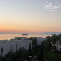 фото из отзыва ID 2243705