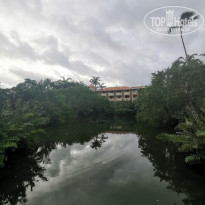 фото из отзыва ID 2243738