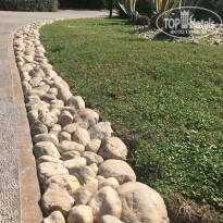 фото из отзыва ID 2243828