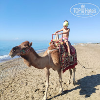 фото из отзыва ID 2242622