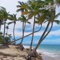 фото из отзыва ID 2243472