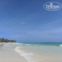 фото из отзыва ID 2243472