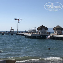 фото из отзыва ID 2243850