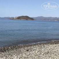 фото из отзыва ID 2243850