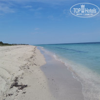 фото из отзыва ID 2244019