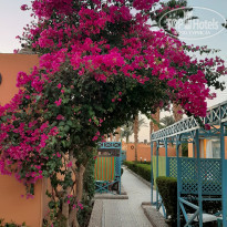 фото из отзыва ID 2244042