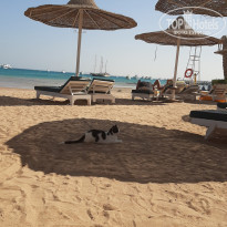 фото из отзыва ID 2244042