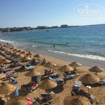 фото из отзыва ID 2244014