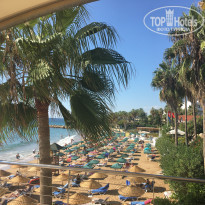 фото из отзыва ID 2244014